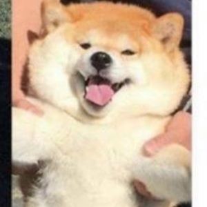 Meet your Posher, Lee